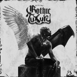 Cover of Gothic Luxury