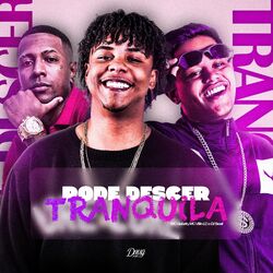 Cover of Pode Descer Tranquila