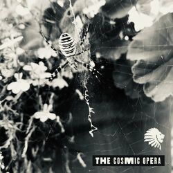 Cover of The Cosmic Opera