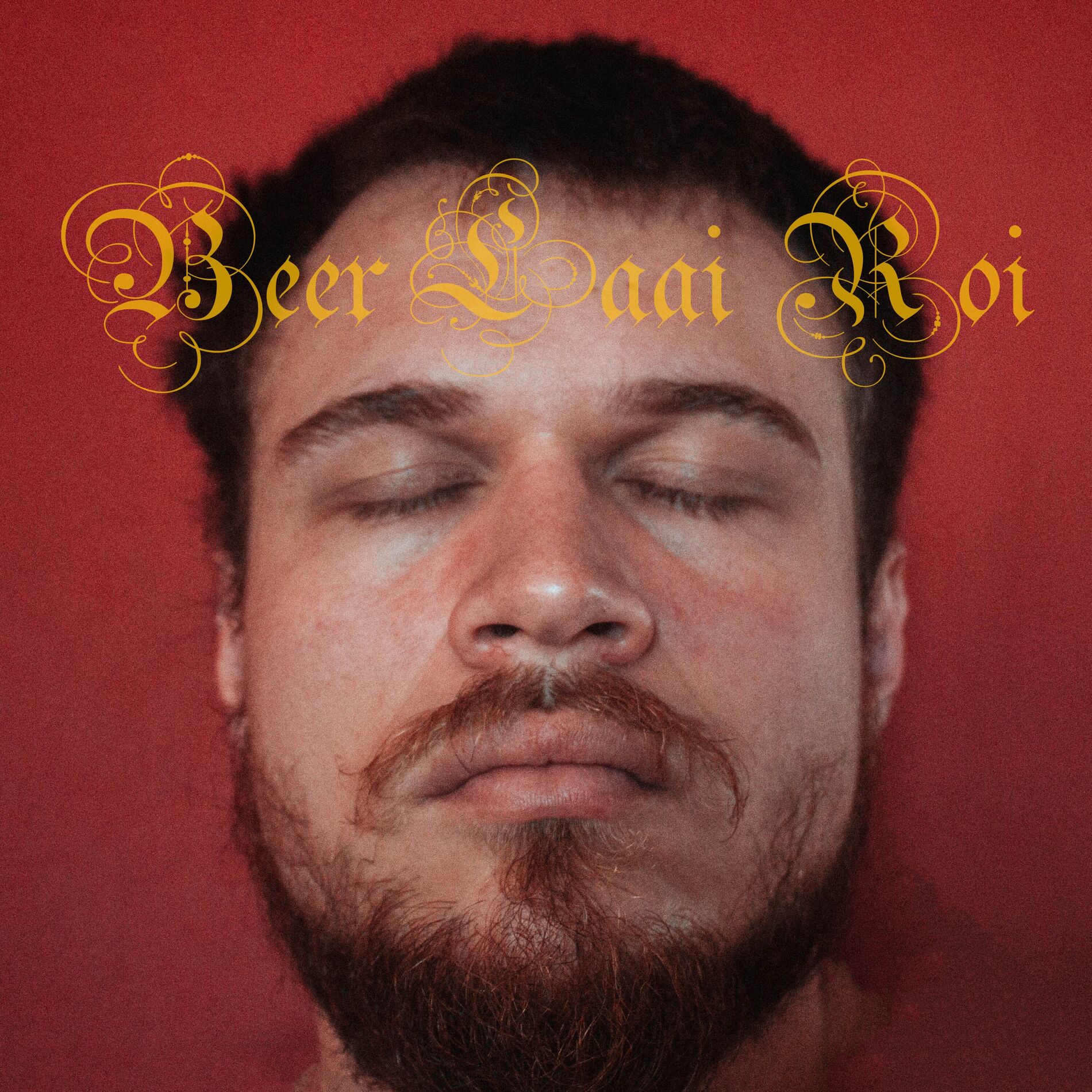 Album cover of Beer Laai Roi