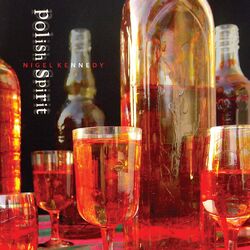 Cover of Polish Spirit