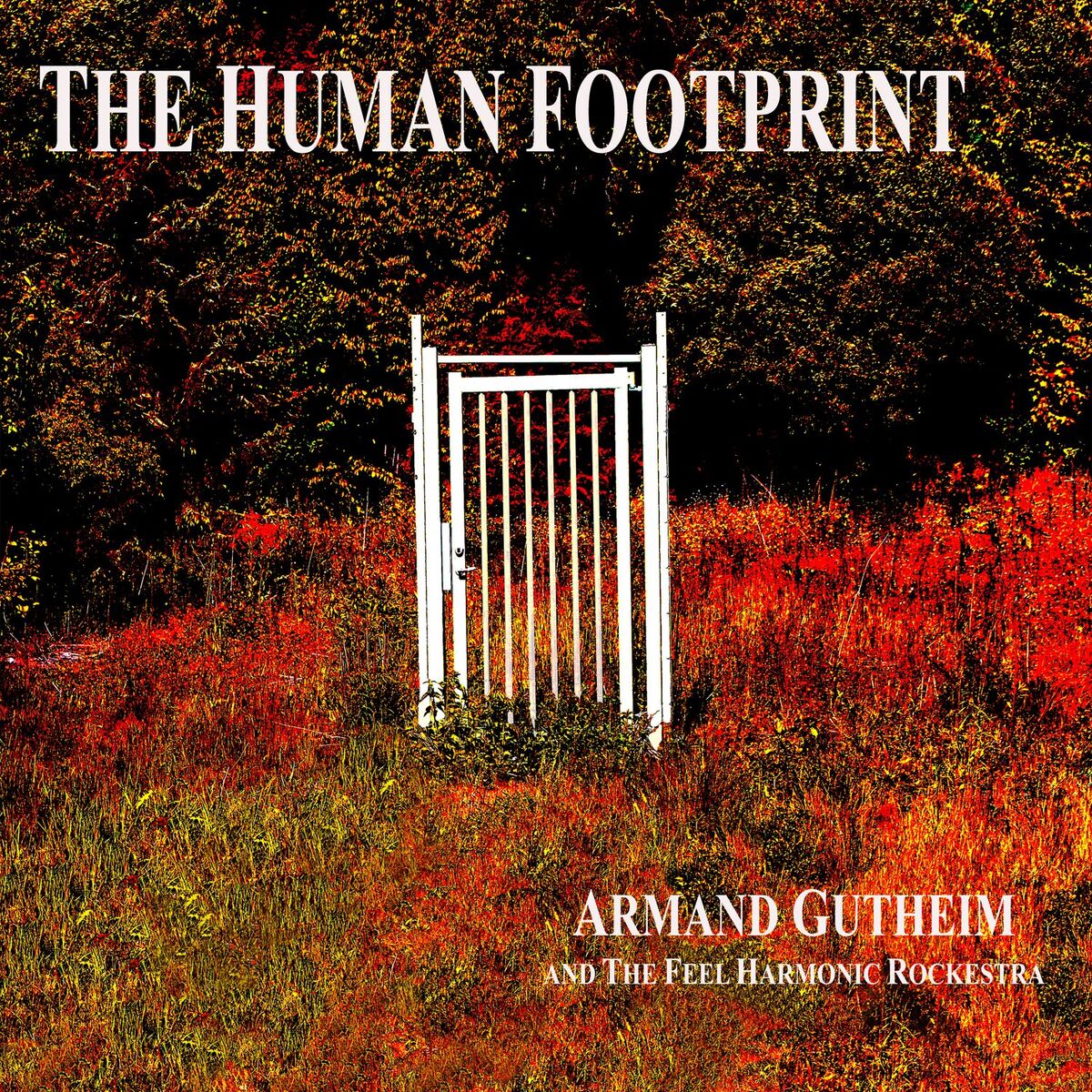 Album cover of The Human Footprint