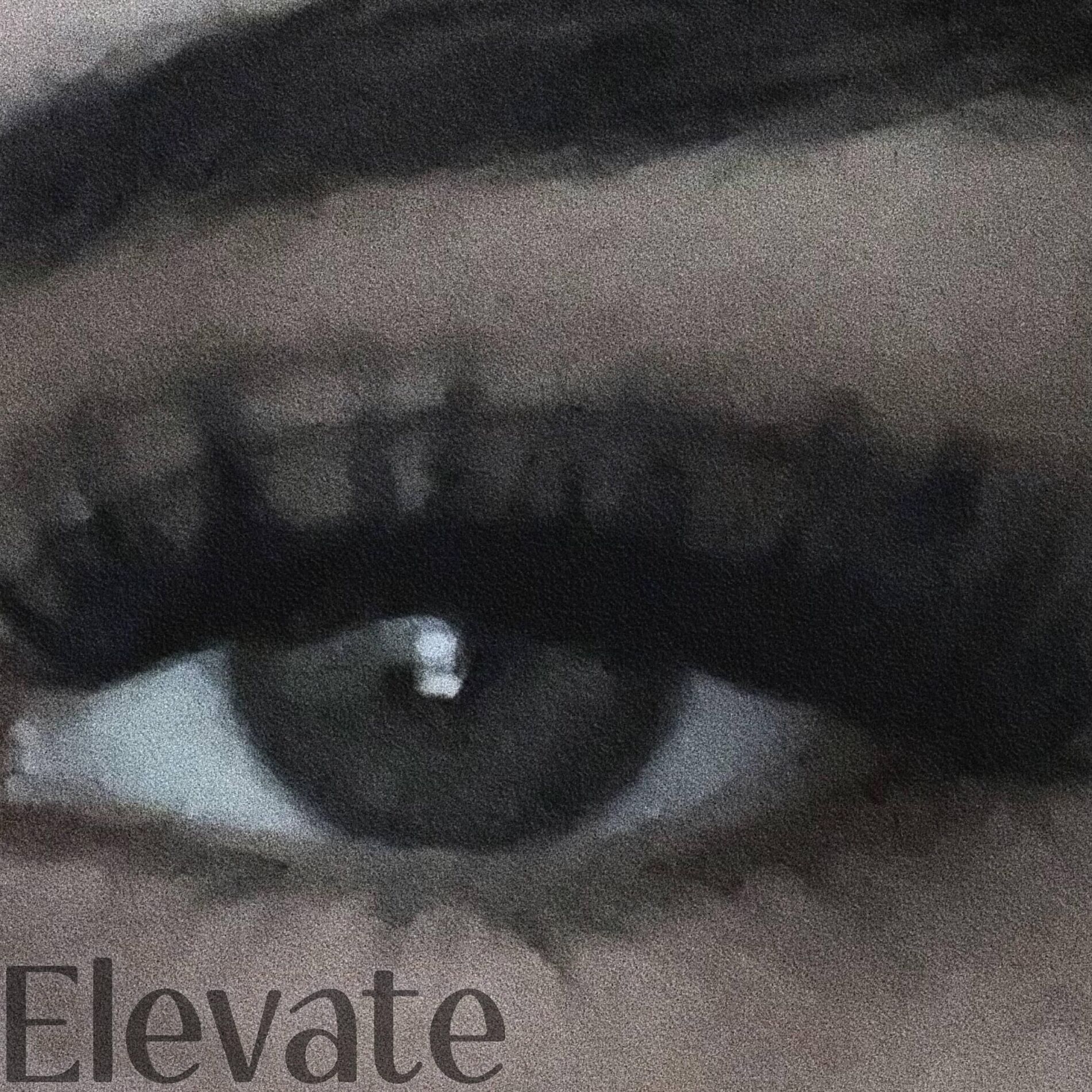 Album cover of Elevate (me)