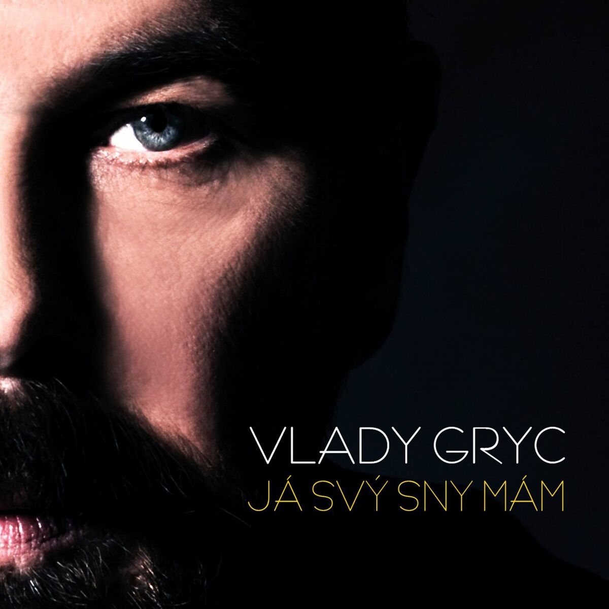 Album cover of Já Svý Sny Mám