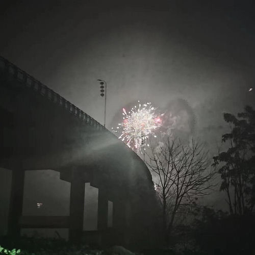 独乐 (现场版)
