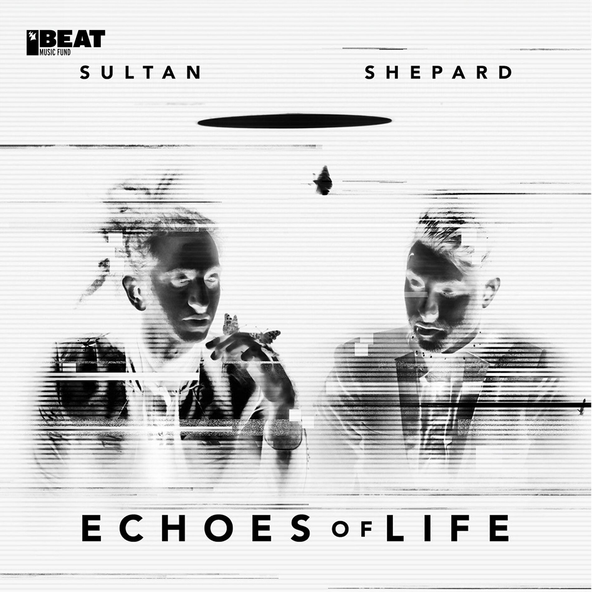 Album cover of Echoes Of Life: Night