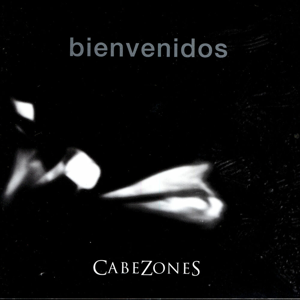Picture of Bienvenidos