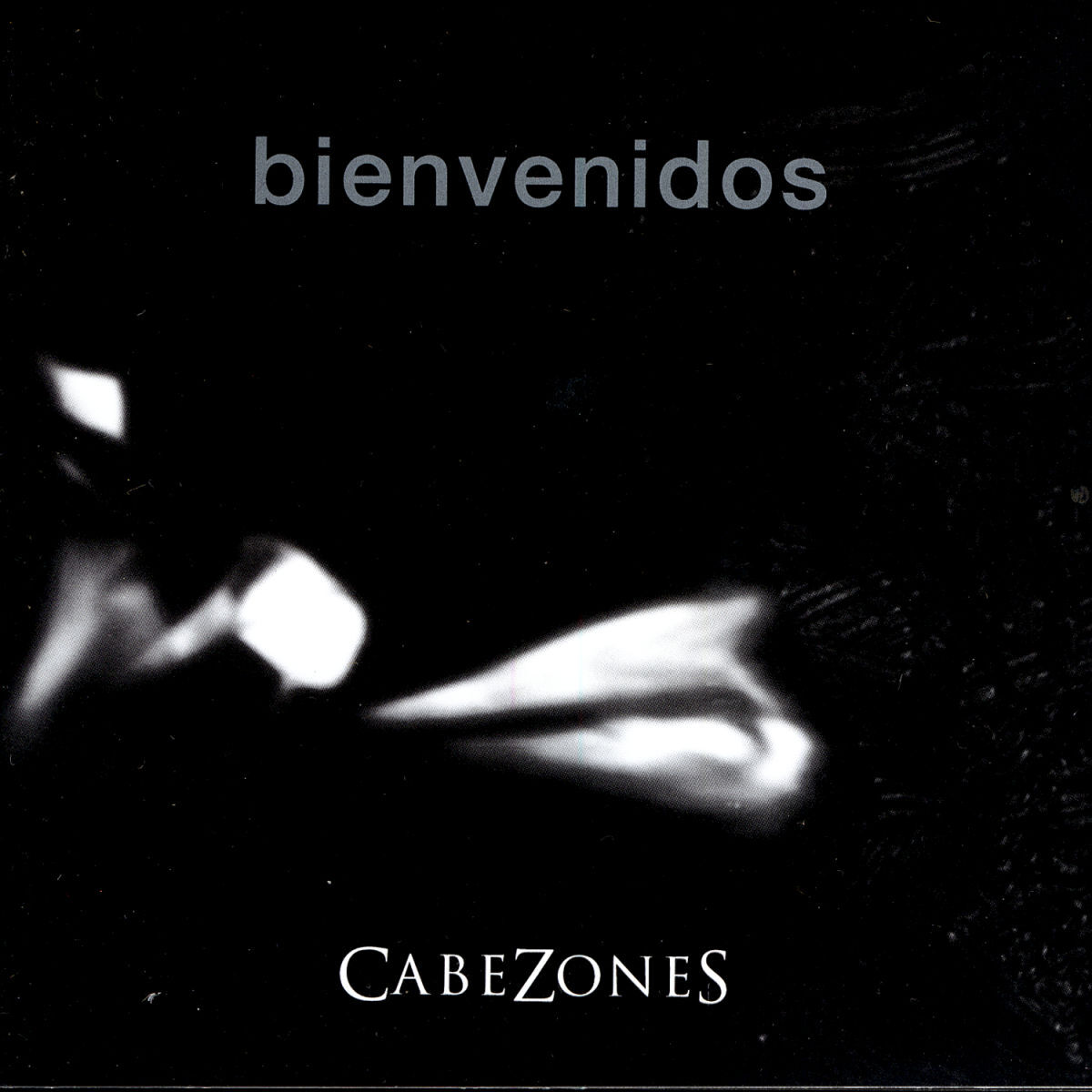 Album picture of Bienvenidos