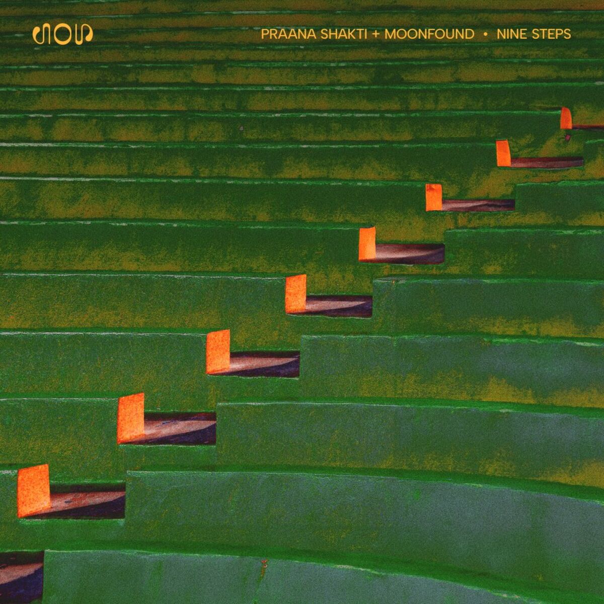 Album cover of Nine Steps