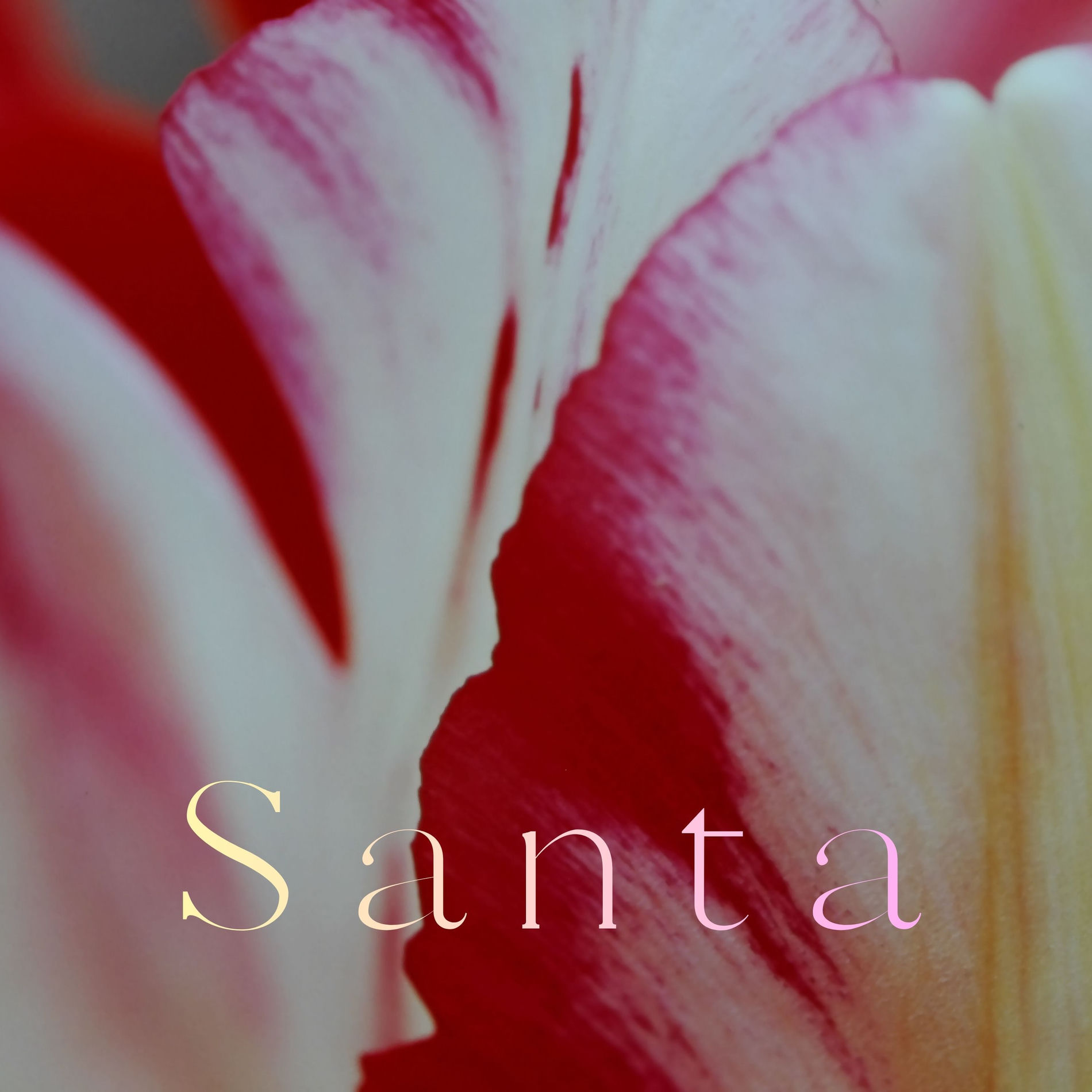 Album cover of Santa (feat. Mew & CYBER DIVA)