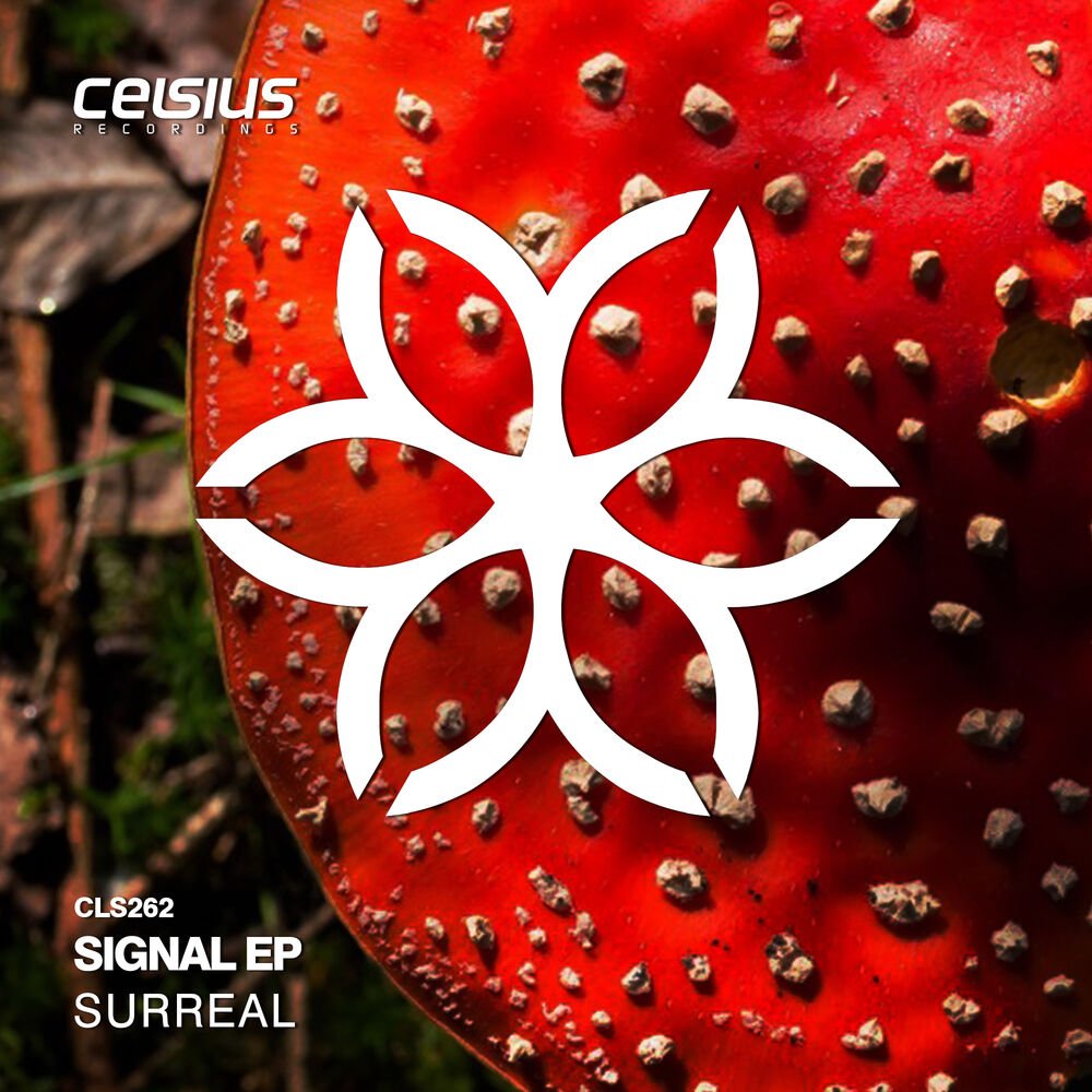 Picture of Signal EP