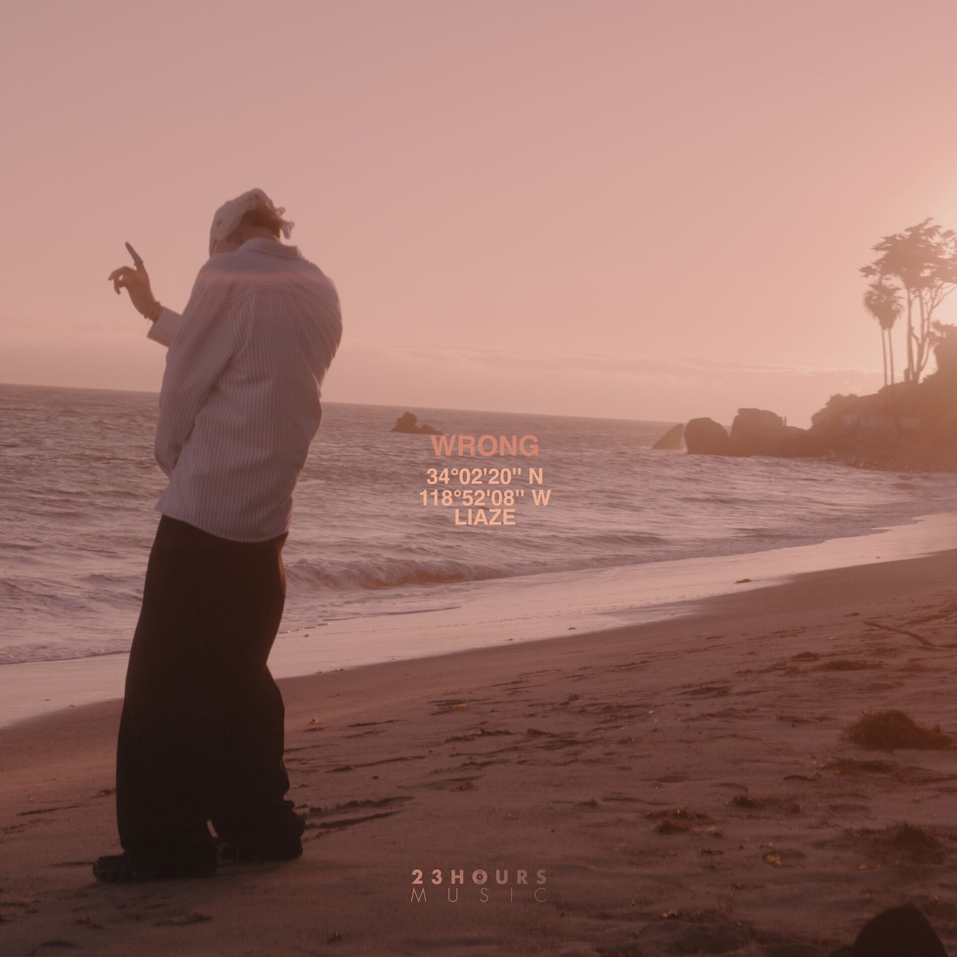 Album cover of Wrong