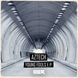 Cover of Young Fools E.P.