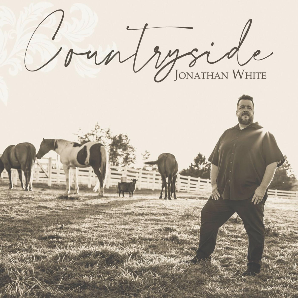 Album cover of Countryside