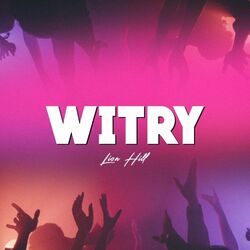 Cover of Witry