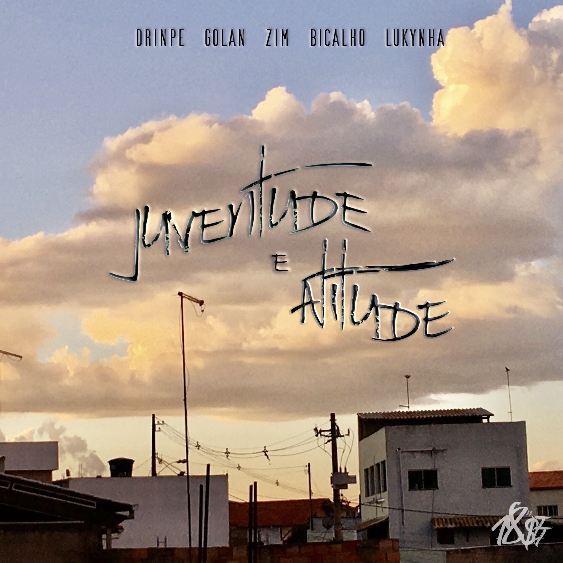 Album cover of Juventude e Atitude