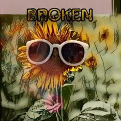 Cover of Broken