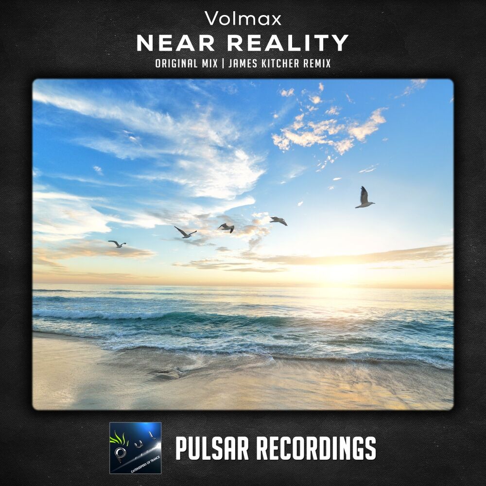 Picture of Near Reality