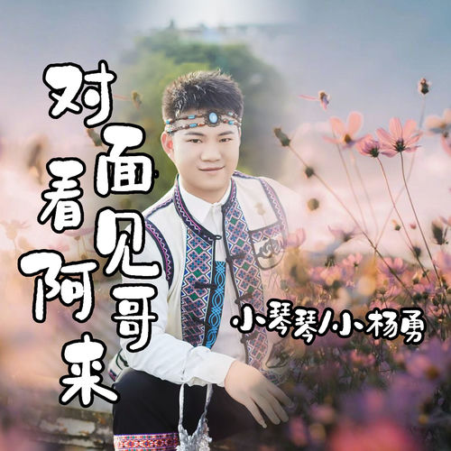 对面看见阿哥来