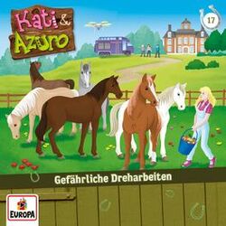 Cover of 017/Gefährliche Dreharbeiten