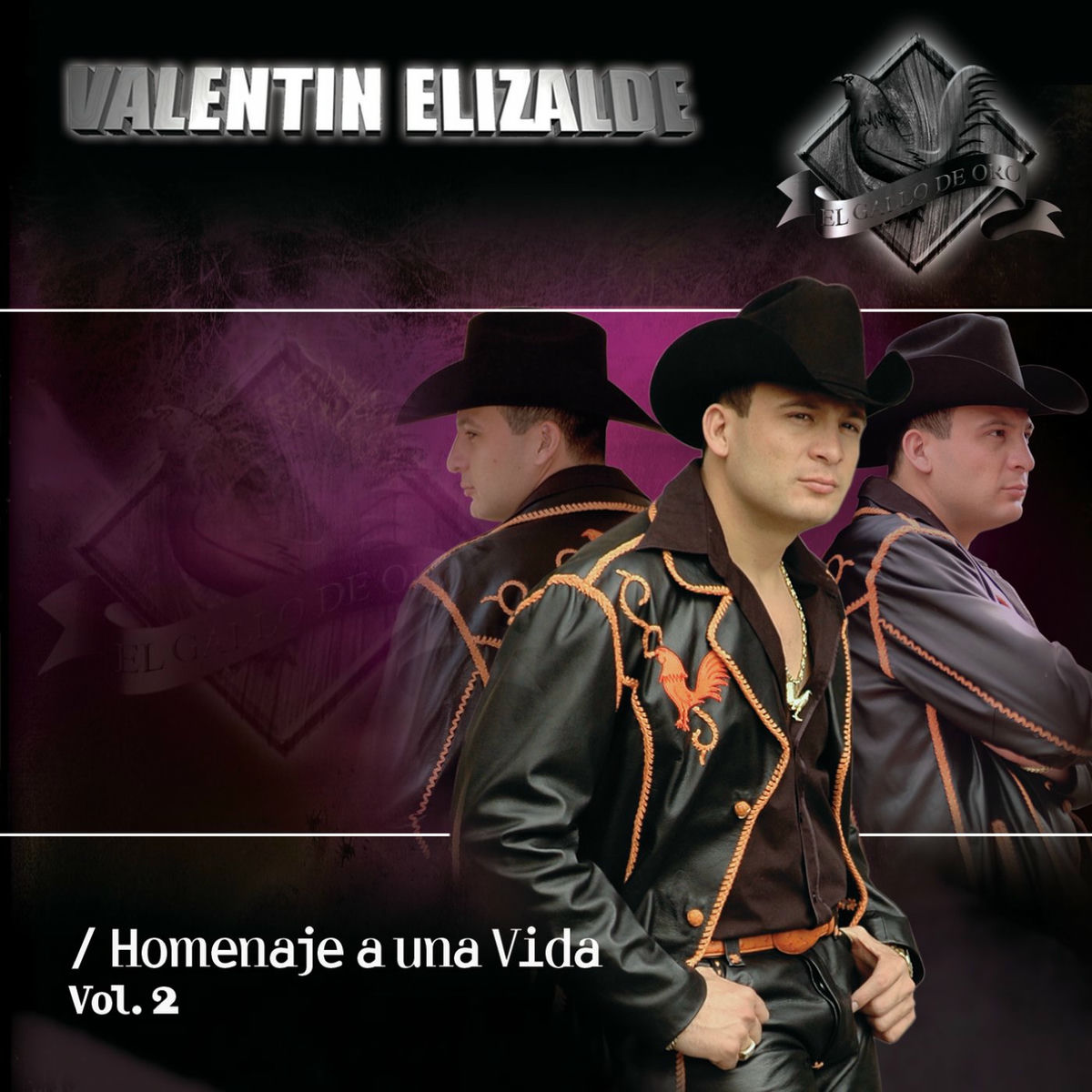 Album cover of Homenaje A Una Vida Vol. 2