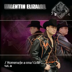 Cover of Homenaje A Una Vida Vol. 2
