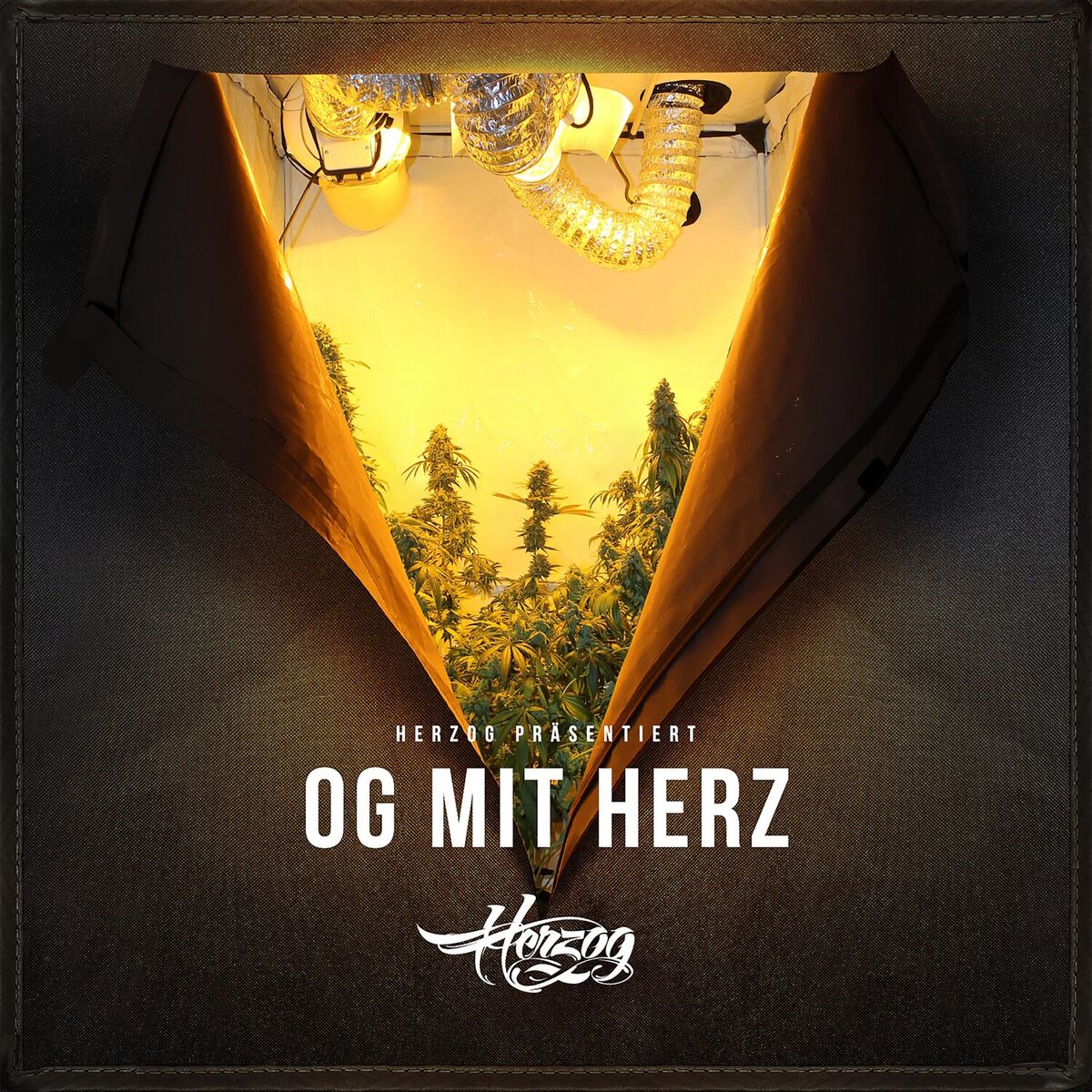Album cover of OG mit Herz