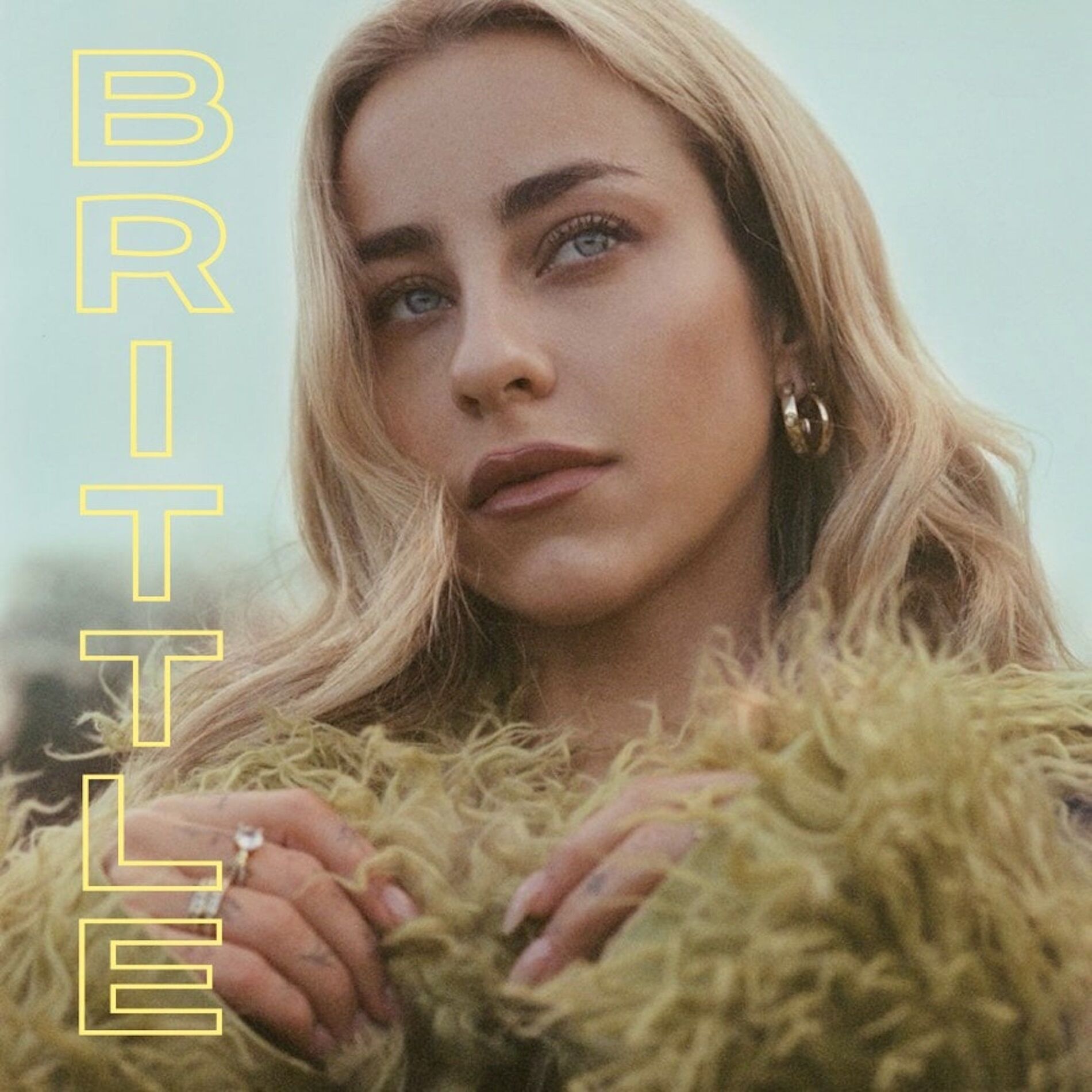 Album cover of Brittle