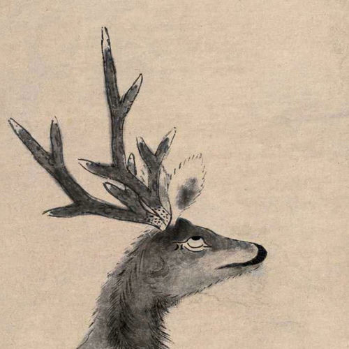 鹿鸣