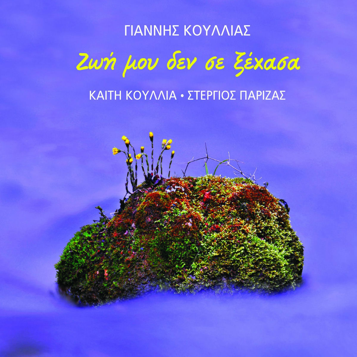 Album picture of Zoi Mou Den Se Xehasa