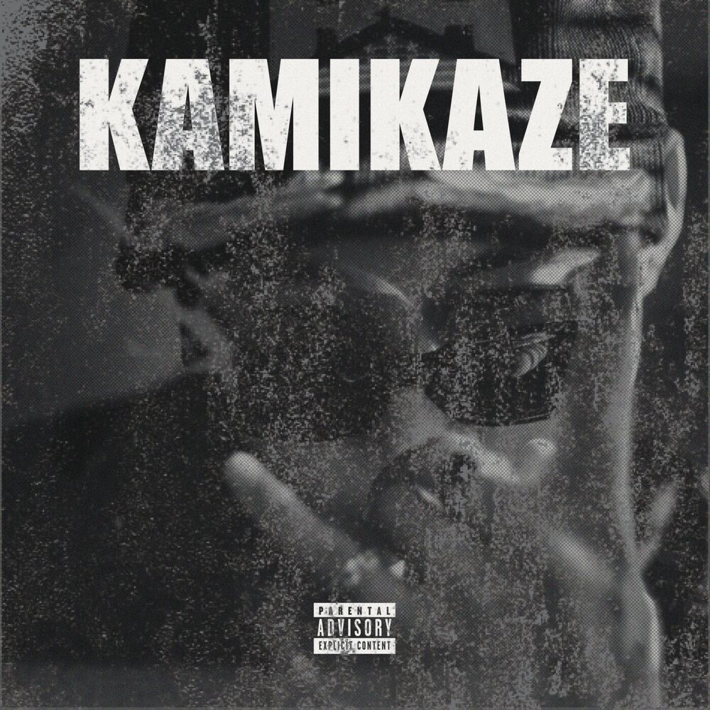 Picture of KAMIKAZE