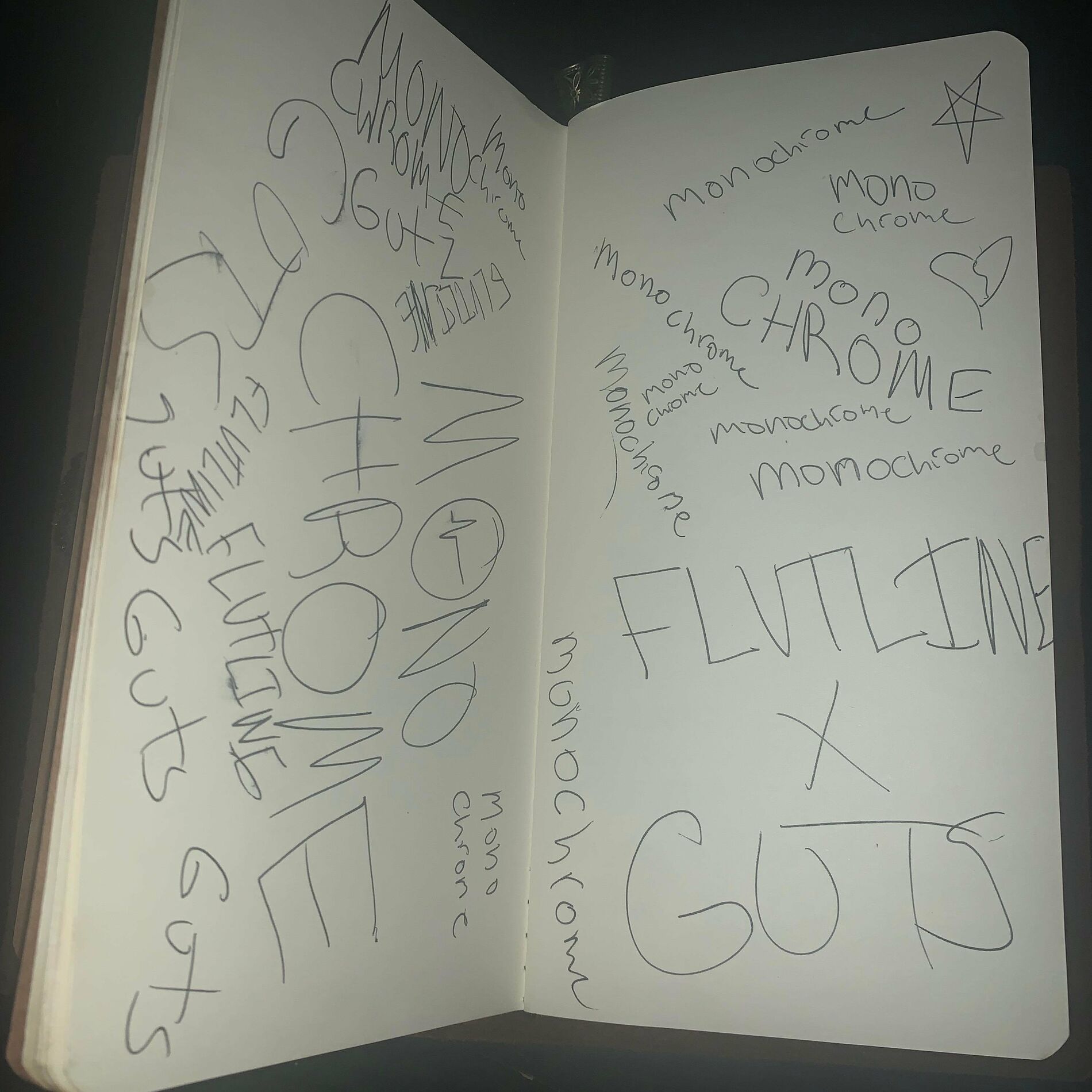 Album cover of Monochrome