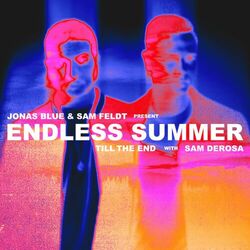 Cover of Till The End