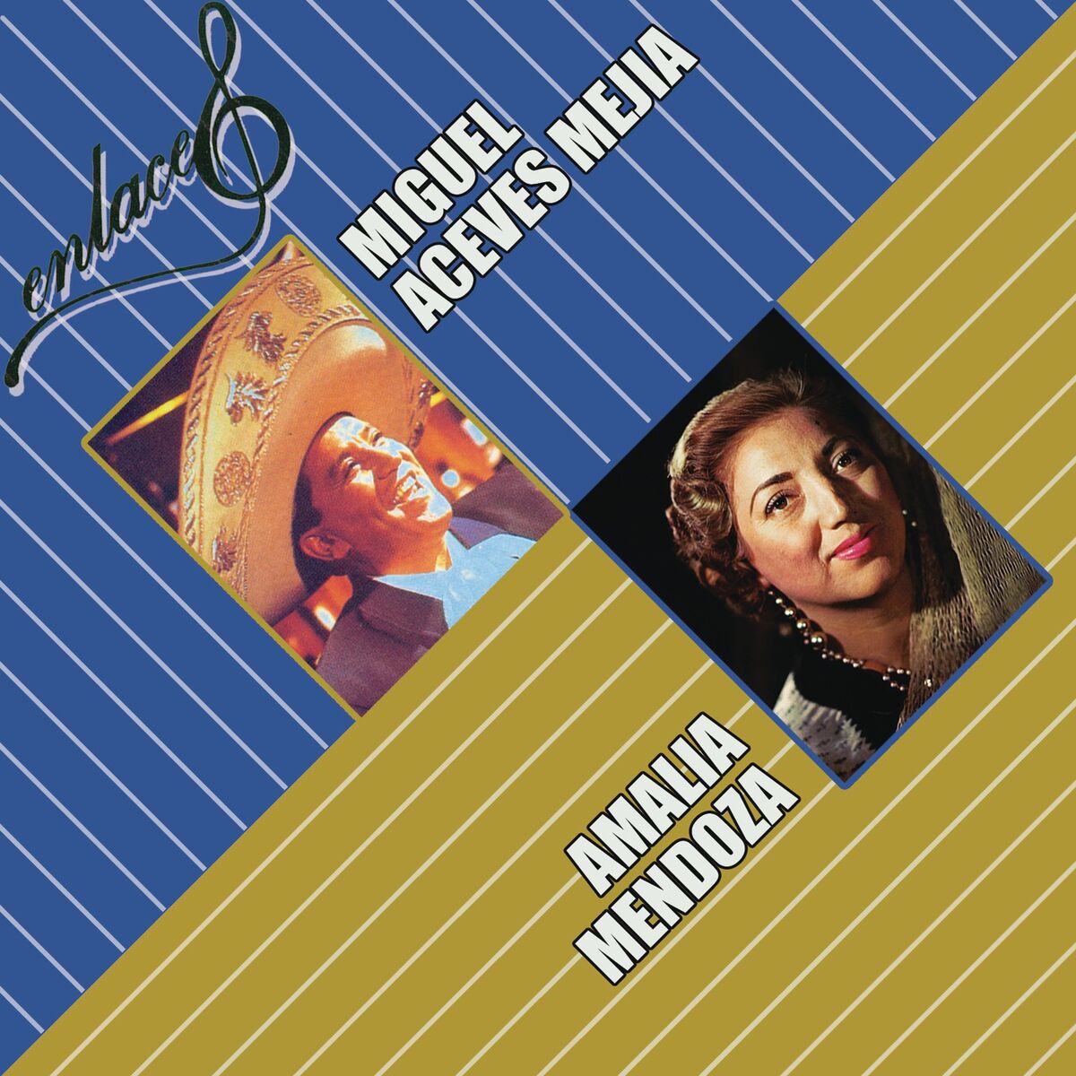 Album cover of Paloma Negra