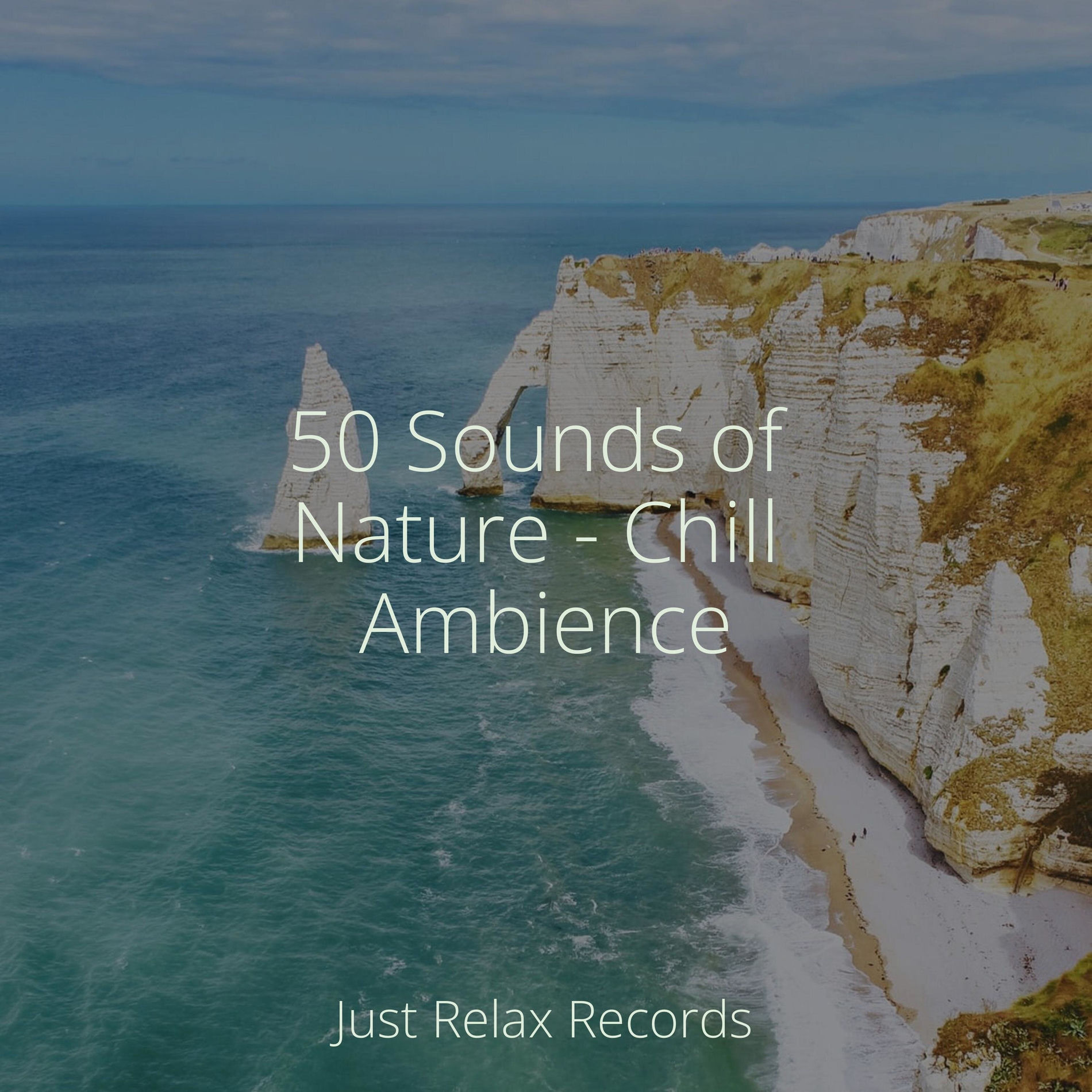 Album cover of 50 Sounds of Nature - Chill Ambience