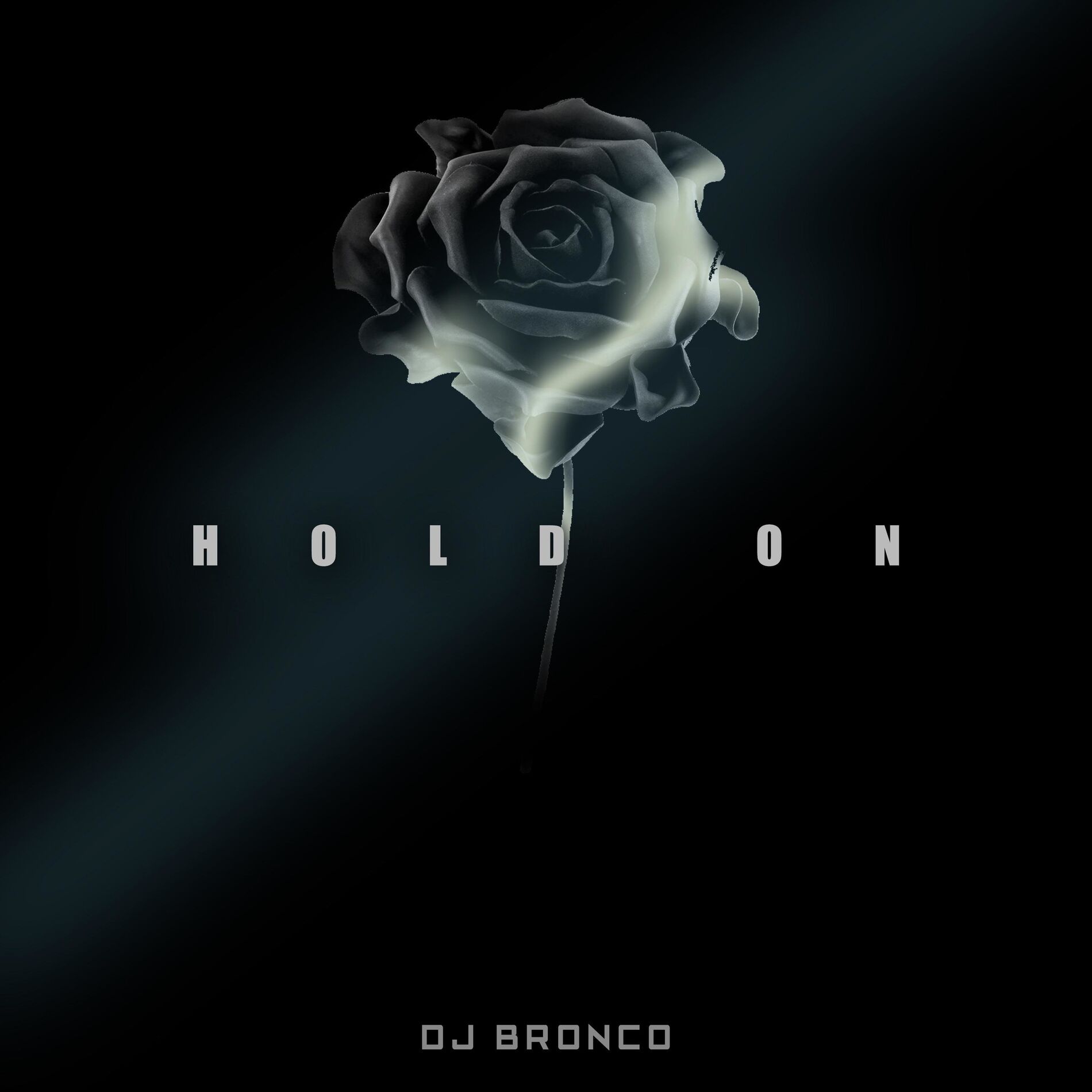 Album cover of Hold On