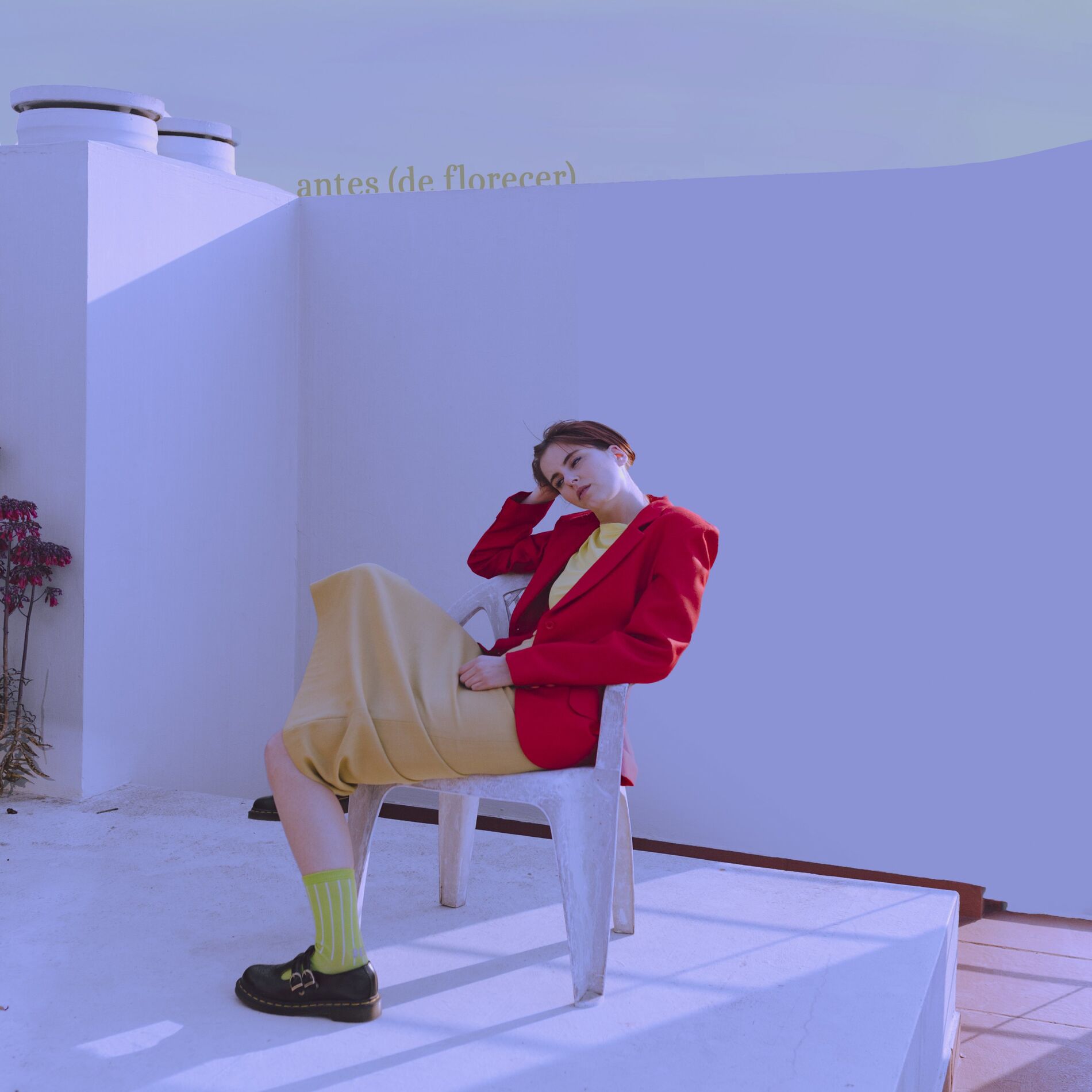 Album cover of Antes (de florecer)