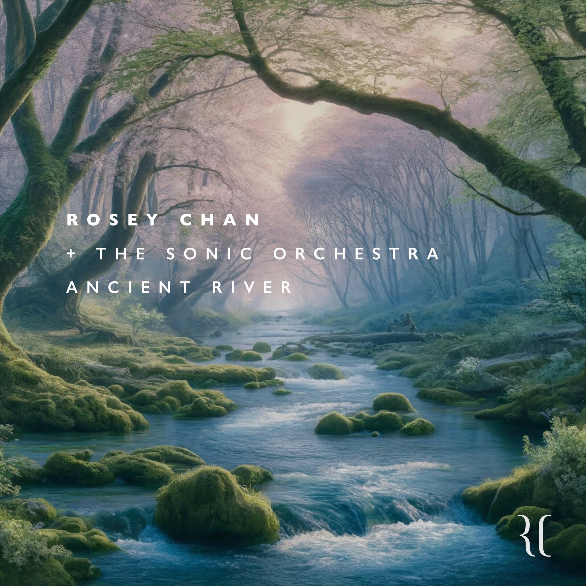 Album cover of Forest Mystique (Ancient River)