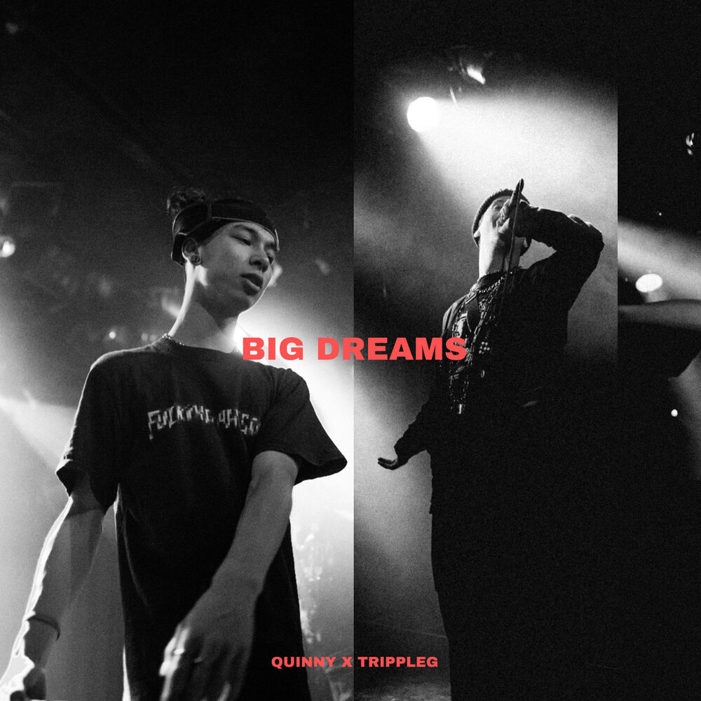 Picture of BIG DREAMS