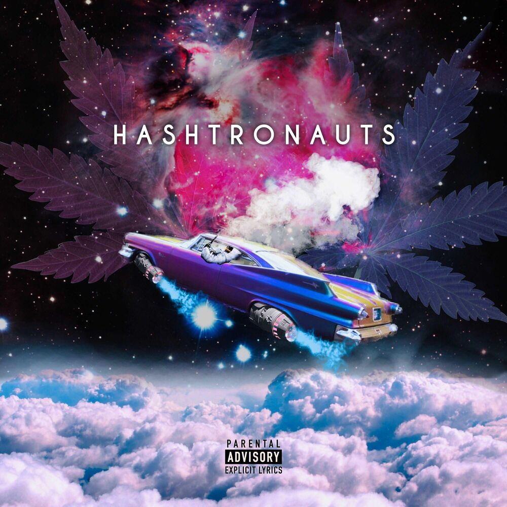 Picture of Hashtronauts