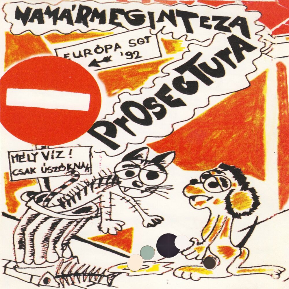 Picture of Namármegintezaprosectura