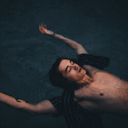 Cover of Drown