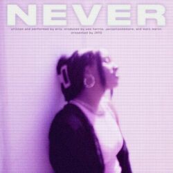 Cover of Never