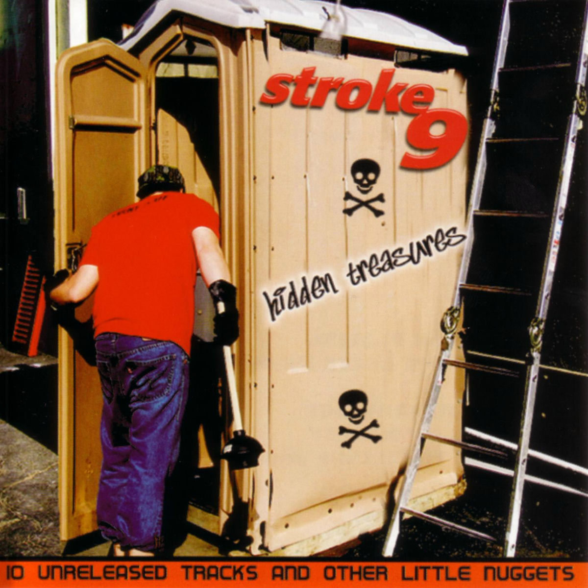 Album cover of Liar