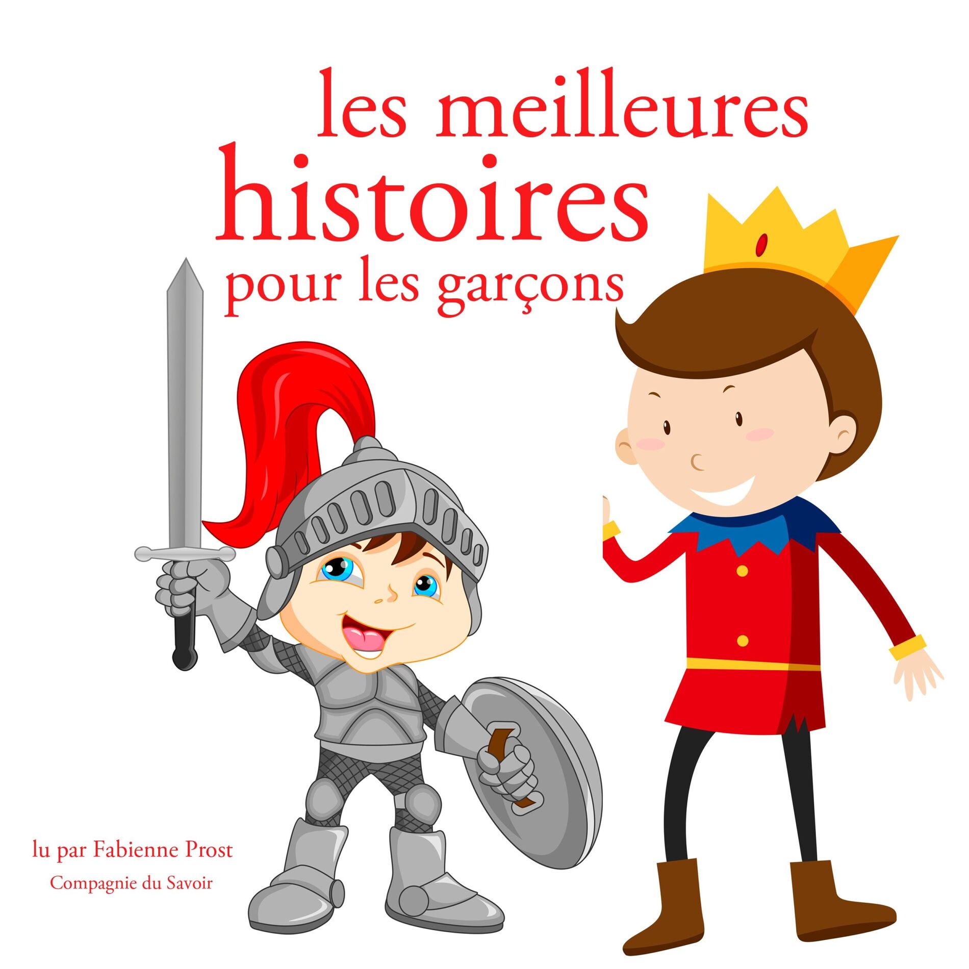 Album cover of Les meilleures histoires pour les garcons (Les plus beaux contes pour enfants)
