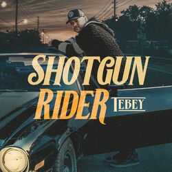 Cover of Shotgun Rider