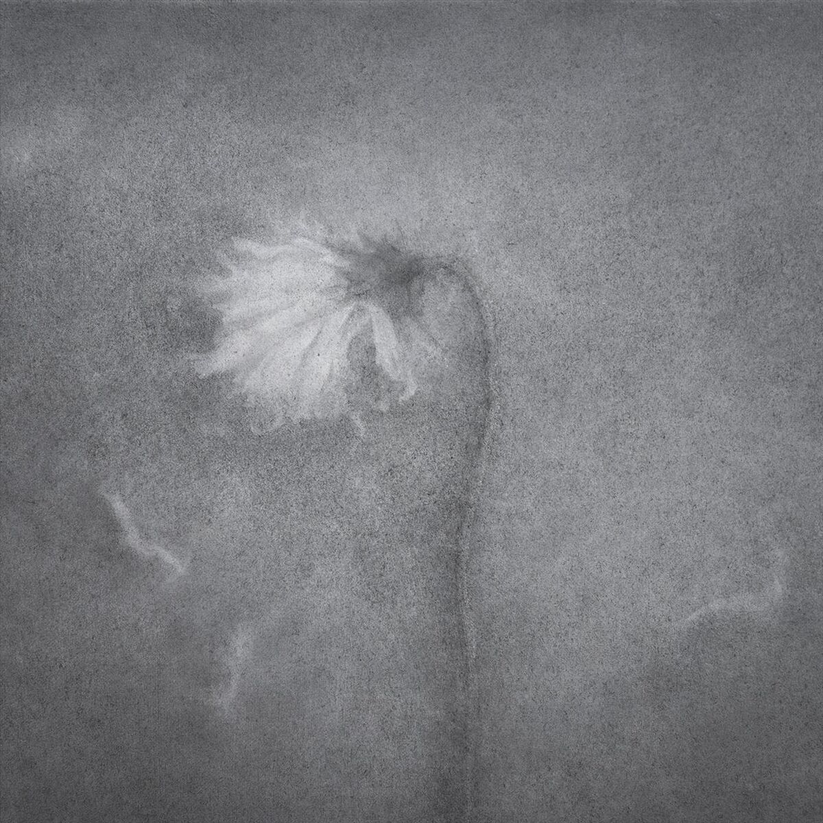 Album cover of Dying Away in the Deep Fall