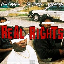 Cover of Real Rights