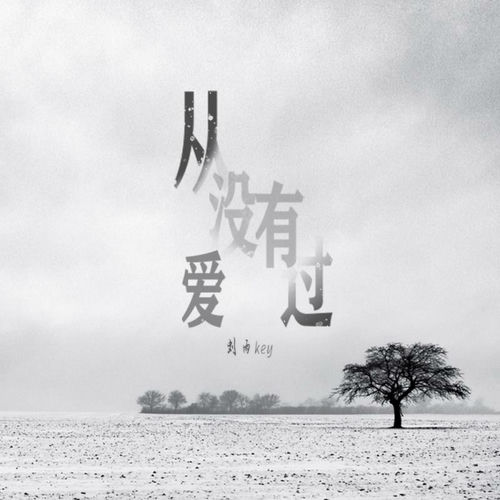 从没有爱过