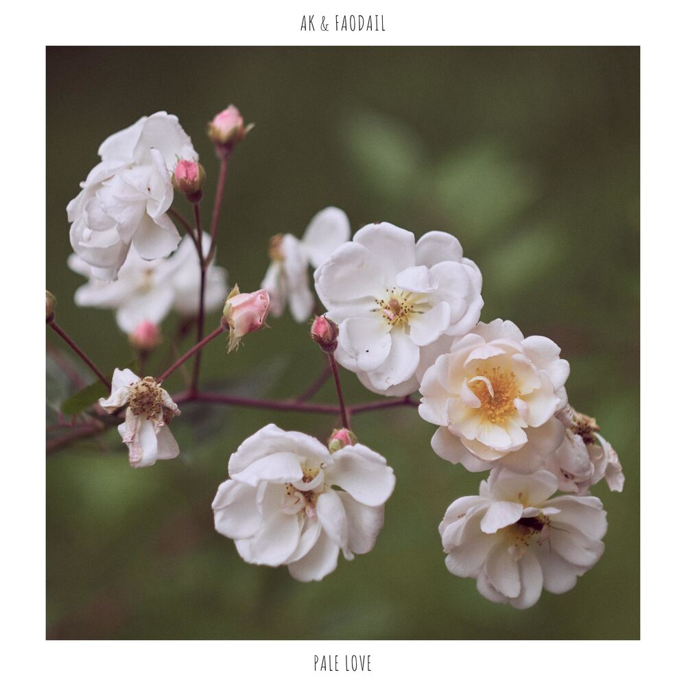 Picture of Pale Love